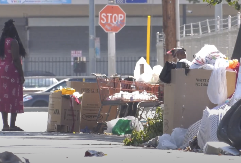 LAPD and Bridge to Home shelter work to minimize homeless crisis