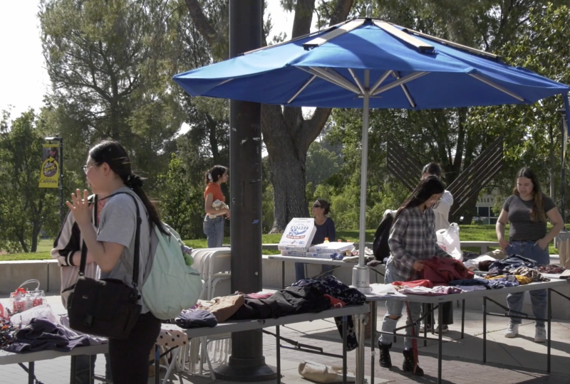 Hands on Earth hosts swap and share for students