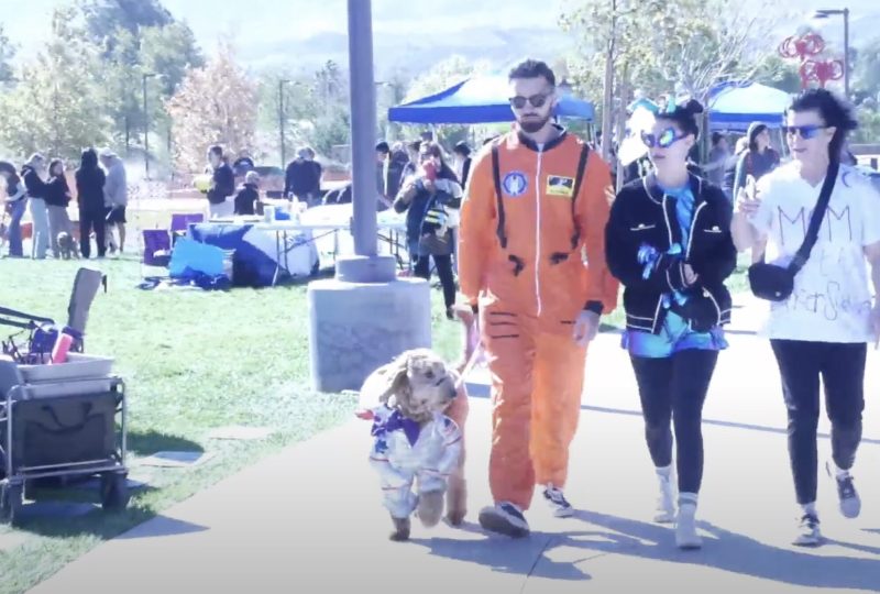 Canine companions packed the Canyon Country Community Center to “Bark for Life”