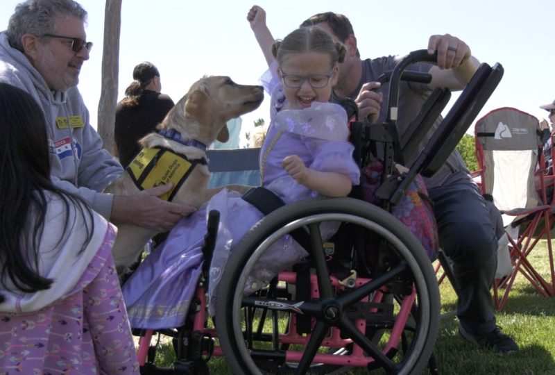 ‘Free to Be Me Festival’ celebrates the special needs community
