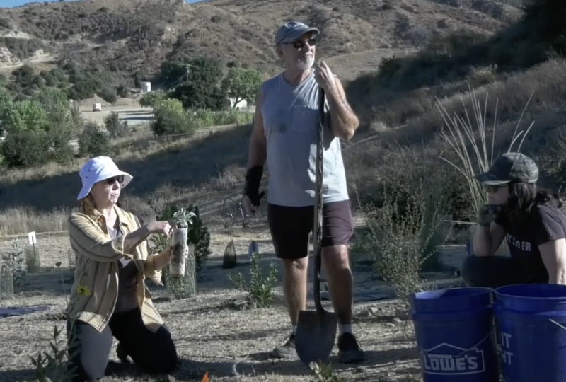 The ‘Wild land Weed Warriors’ are on a mission to pull weeds and plant hope