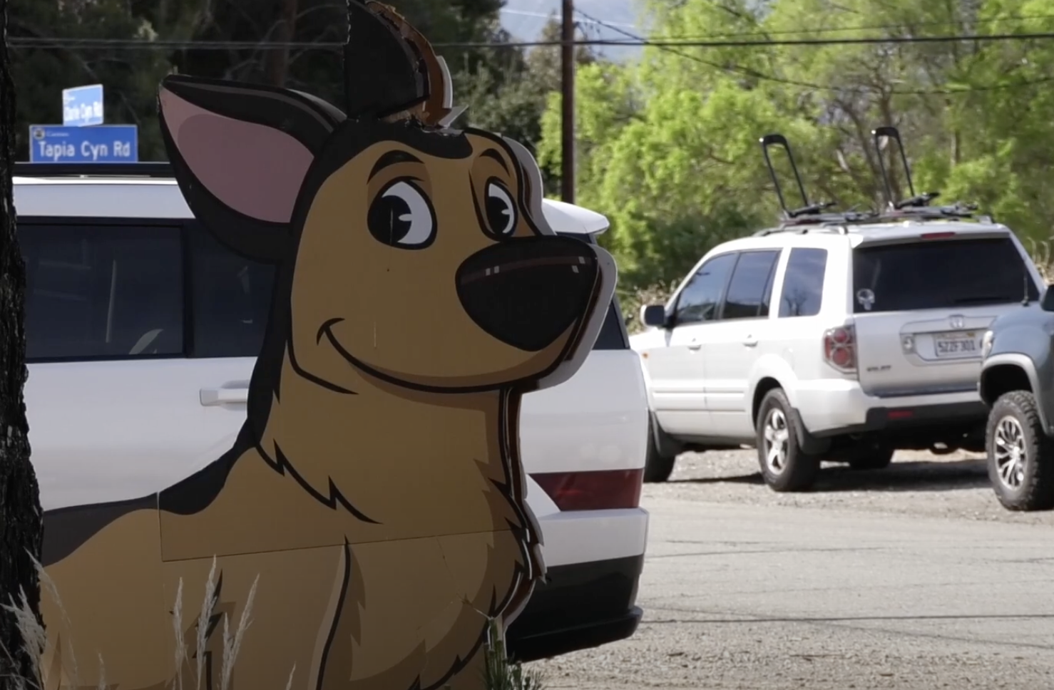 The Castaic Animal Care Center is making an effort for animals in need of a home