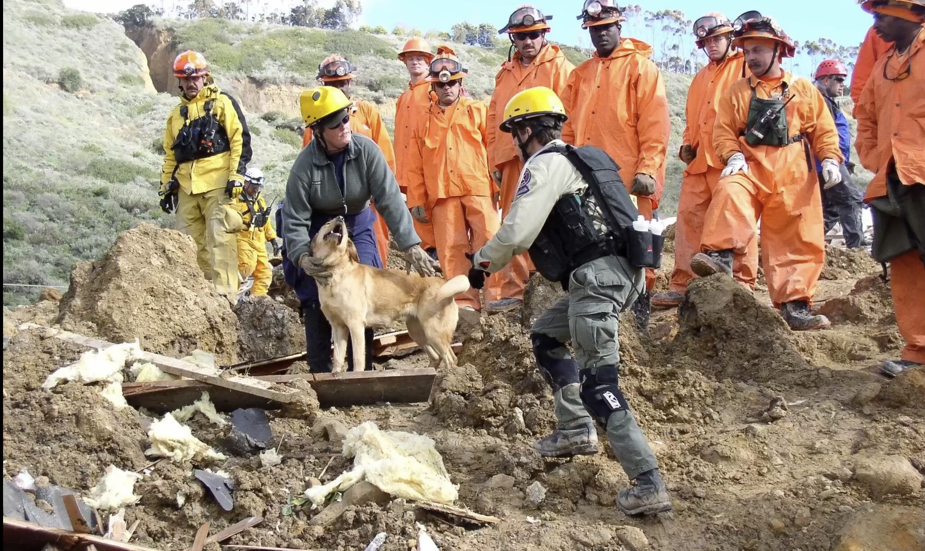 Search Dog Foundation in Santa Paula trains shelter dogs as certified rescue heroes