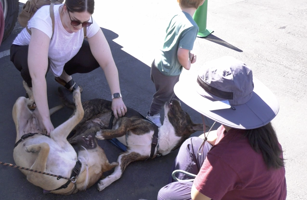  ‘Pups and Cups, Adopt, Don’t Shop’ was filled with smiles and a few happy barks
