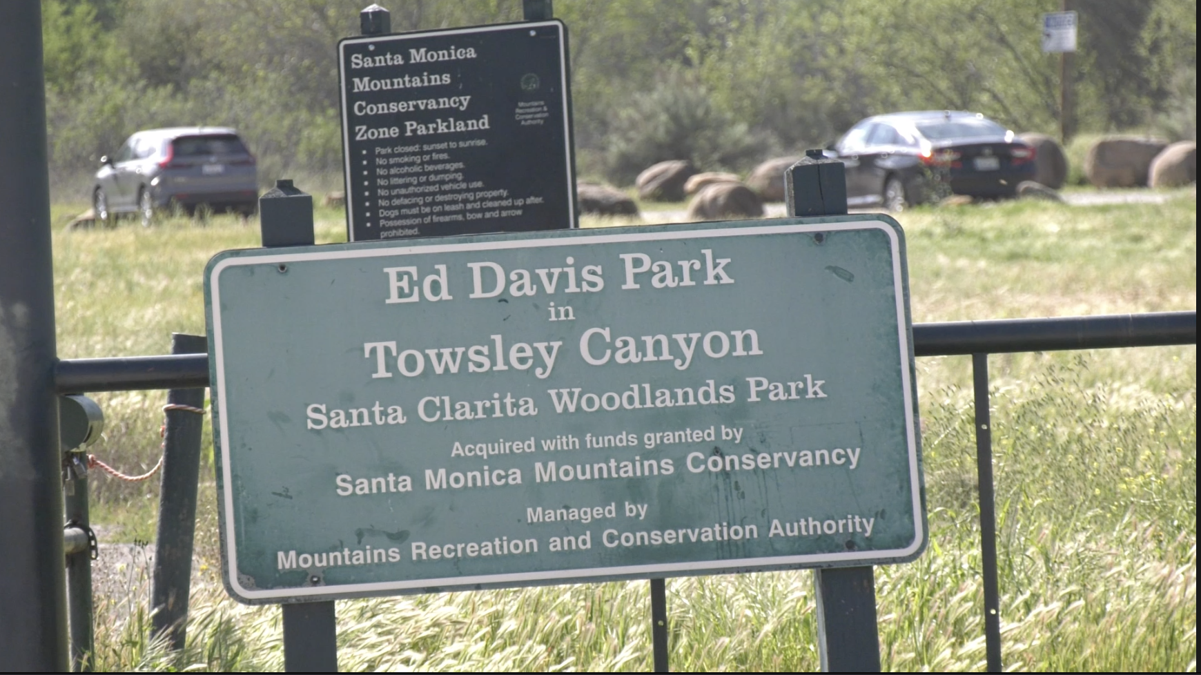 Santa Clarita adopts unusual wildfire prevention strategy: using goats to clear brush